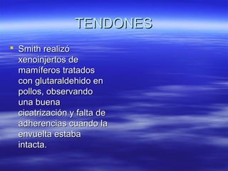 TTEENNDDOONNEESS 
 SSmmiitthh rreeaalliizzóó 
xxeennooiinnjjeerrttooss ddee 
mmaammííffeerrooss ttrraattaaddooss 
ccoonn gglluuttaarraallddeehhiiddoo eenn 
ppoollllooss,, oobbsseerrvvaannddoo 
uunnaa bbuueennaa 
cciiccaattrriizzaacciióónn yy ffaallttaa ddee 
aaddhheerreenncciiaass ccuuaannddoo llaa 
eennvvuueellttaa eessttaabbaa 
iinnttaaccttaa.. 
