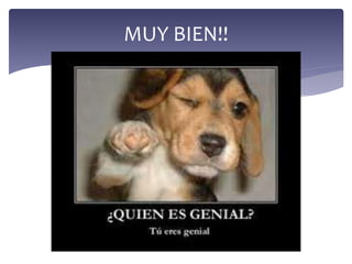 MUY BIEN!!
 