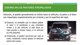 LESIONES EN LOS PEATONES ATROPELLADOS
 Después, es probable que la cabeza golpee
el capó o el parabrisas a una velocidad
similar a la del vehículo, si este tiene un
capó grande o incluso mayor, si el vehículo
es más pequeño.
 Finalmente, el peatón terminará por caer al
suelo, recibiendo nuevos golpes en distintas
partes del cuerpo.
Entonces, el peatón generalmente se inclina hacia el vehículo y la pelvis y el tórax
son impactados respectivamente por el borde y por la superficie del capó.
 