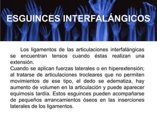 ESGUINCES INTERFALÁNGICOS

Los ligamentos de las articulaciones interfalángicas
se encuentran tensos cuando éstas realizan una
extensión.
Cuando se aplican fuerzas laterales o en hiperextensión;
al tratarse de articulaciones trocleares que no permiten
movimientos de ese tipo, el dedo se edematiza, hay
aumento de volumen en la articulación y puede aparecer
equimosis tardía. Estos esguinces pueden acompañarse
de pequeños arrancamientos óseos en las inserciones
laterales de los ligamentos.

 