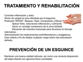 TRATAMIENTO Y REHABILITACIÓN
Controlar inflamación y dolor.
Aliviar de cargas la zona afectada por el esguince.
Protocolo “RHICE”: Reposo, Hielo, Compresión y Elevación:
Aplicar hielo, reduciendo inflamación y calmando el dolor.
Hacer un vendaje compresivo de la zona dañada.
Elevación del miembro lesionado para favorecer el drenaje
edematoso.
Administración de medicamentos antiinflamatorios y analgésicos.
Usar ortesis a fin de disipar cualquier carga sobre esa articulación
dañada.

PREVENCIÓN DE UN ESGUINCE
Mantener una buena calidad articular, así como una correcta disposición
del tejido blando con ejercicio físico controlado.

 