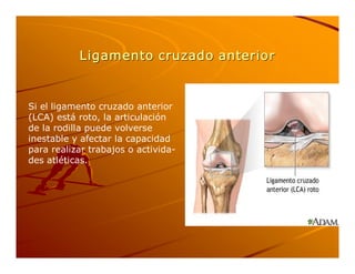 Lesiones Jaimerojas