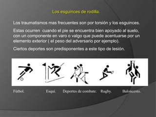 Fútbol. Esquí. Deportes de combate. Rugby. Baloncesto.
Los traumatismos mas frecuentes son por torsión y los esguinces.
Estas ocurren cuando el pie se encuentra bien apoyado al suelo,
con un componente en varo o valgo que puede acentuarse por un
elemento exterior ( el peso del adversario por ejemplo).
Ciertos deportes son predisponentes a este tipo de lesión.
Los esguinces de rodilla.
 