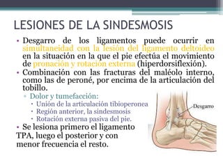 LESIONES DE LA SINDESMOSIS
• Desgarro de los ligamentos puede ocurrir en
simultaneidad con la lesión del ligamento deltoideo
en la situación en la que el pie efectúa el movimiento
de pronación y rotación externa (hiperdorsiflexión).
• Combinación con las fracturas del maléolo interno,
como las de peroné, por encima de la articulación del
tobillo.
▫ Dolor y tumefacción:
 Unión de la articulación tibioperonea,
 Región anterior, la sindesmosis
 Rotación externa pasiva del pie.
• Se lesiona primero el ligamento
TPA, luego el posterior y con
menor frecuencia el resto.
 