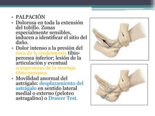 • PALPACIÓN
• Dolorosa en toda la extensión
del tobillo. Zonas
especialmente sensibles,
inducen a identificar el sitio del
daño.
• Dolor intenso a la presión del
área de la sindesmosis tibio-
peronea inferior; lesión de la
articulación y eventual
compromiso de la mortaja
tibio-peronea.
• Movilidad anormal del
astrágalo: desplazamiento del
astrágalo en sentido lateral
medial o externo (peloteo
astragalino) o Drawer Test.
 