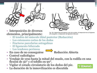 • Interposición de diversos
elementos, principalmente:
▫ El tendón del músculo tibial posterior (Reducción)
▫ Los extensores cortos de los dedos
▫ Fracturas parcelarias astragalinas
▫ El ligamento bifurcado
▫ Los tendones peróneos
• En caso de no conseguirse Reducción Abierta
• Control radiológico
• Vendaje de yeso hasta la mitad del muslo, con la rodilla en una
flexión de 30° y el tobillo en 90°.
• Vigilar el estado circulatorio de los dedos del pie.
• La duración de la inmovilización es discutida
 