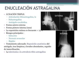 ENUCLEACIÓN ASTRAGALINA
• LUXACIÓN TRIPLE:
▫ Articulación tibioastragalina, la
▫ Subastragalina
▫ Astrágalo-escafoidea.
• Forma antero-externa
• Forma póstero-interna (rara)
• La exposición cutánea es frecuente > 75 %
• Riesgos principales :
▫ Infección
▫ Necrosis avascular
▫ Rigidez
• Tratamiento adecuado: Reposición anatómica del
astrágalo, tras limpieza y lavados abundantes, seguido
de inmovilización.
• La talectomía o la artrodesis tibio-astragalina
EXTERNA
INTERNA
 