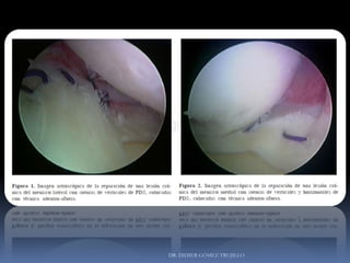 DR. DIDIER GÓMEZ TRUJILLO
 