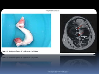 DR. DIDIER GÓMEZ TRUJILLO
 