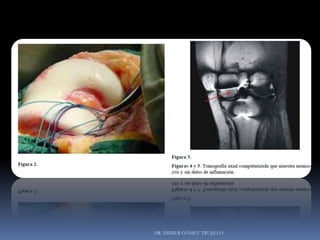 DR. DIDIER GÓMEZ TRUJILLO
 