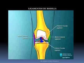 DR. DIDIER GÓMEZ TRUJILLO
LIGAMENTOS DE RODILLA
 