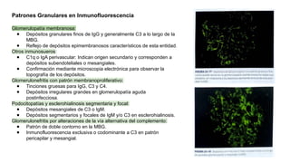 Glom R Chachu Lesiones morfológicas del glomérulo Nefrologia | PPTX