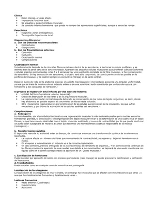 Clínica
       Dolor intenso, a veces shock.
       Impotencia Funcional total
       Se visualiza y palpa hendidura muscular.
       Se constata intenso hematoma que puede no romper las aponeurosis superficiales; aunque a veces las rompe

Paraclínica
      Ecografía: zonas anecogénicas.
      Termografía: hipertermia local.

Diagnostico diferencial
a. Con las Distonías neuromusculares:
      Contracturas
      Elongaciones
b. Con los Traumatismos externos:
      Contusión
      Evolución:
      Cicatrización normal
      Complicaciones

Cicatrización normal:
Inmediatamente después de la rotura las fibras se retraen dentro de su sarcolema; a las horas los cabos proliferan, y se
delimita bien la parte sana de la zona necrosada .Aparecen las pequeñas células musculares que proliferan (células fusiformes
y células gigantes polinucleadas. A las 5 a 6 semanas hay una sustitución completa de la fibra muscular, si hay conservación
del sarcolema. Si hay destrucción del sarcolema, la cicatriz será sólo conjuntiva; la cicatriz perfecta sólo es posible en la
periferia del músculo; y la cicatriz siempre es conjuntiva (fibrosa) en la parte central.

Desde el punto de vista de la anatomía lesional, el aspecto macroscópico y microscópico presenta una singular uniformidad,
ya sea que se trate de la rotura de un músculo entero o de una sola fibra: lesión constituida por un foco de ruptura con
hematoma y dos casquetes de retracción.-

El proceso de reparación está influido por dos tipos de factores:
       entidad del foco (hematoma .edema, isquemia).
       Grado de destrucción de las fibras y de la arquitectura muscular.
       La regeneración tisular normal depende del grado de conservación de los tubos de tejido conjuntivo; es decir, donde
       hay endomicio es posible esperar el crecimiento de fibras hasta la fusión.
       Otro mecanismo regenerativo es por proliferación de las células que provienen de la circulación, las que sufren
       metaplasia; y por último la activación de las células satélites del sarcolema.-

Complicaciones:
a. Redesgarro
Lo más deseable, por el pronóstico funcional es una regeneración muscular lo más ordenada posible pero muchas veces los
hematomas grandes, la destrucción y desorganización del tejido muscular llevan a la deformación de una cicatriz rica en tejido
fibroso, la que tiene menor elasticidad que el tejido muscular sustituido, y carece de contractilidad por lo que puede confirmar
un punto débil susceptible de recidiva. Es decir que tenemos una fibroesclerosis cicatrizal responsable de la recidiva
(redesgarro).-

b. Transformacion quística
El deportista reanuda su actividad antes de tiempo, de constituye entonces una transformación quística de los elementos
lesionados.
       La ruptura afecta un número de fibras que manteniendo la contractilidad, se separan y dejan el hematoma en el
       medio.
       En el reposo e inmovilización el músculo va a la correcta cicatrización.
       En caso contrario,(reinicio anticipado de la actividad física) el hematoma se organiza ,. Y las contracciones continuas de
       las fibras provocan la aparición de una cavidad que debido a los movimientos, se tapizará de una seudo membrana con
       líquido claro en el centro consagrándose la aparición de un Quiste muscular.-

c. Calcificación de hematoma
Puede suceder por aposición de calcio por procesos particulares (caso masaje) se puede provocar la calcificación u osificación
del hematoma.
d. Tromboflebitis
Puede suceder como en cualquier caso de inmovilización prolongada.

Localización de los desgarros
La localización de los desgarros es muy variable, sin embargo hay músculos que se afectan con más frecuencia que otros ; o
sea que hay localizaciones frecuentes y localizaciones raras .-

Lesiones frecuentes
      Recto anterior (Cuadriceps)
      Isquiocrurales
      Aductores
 
