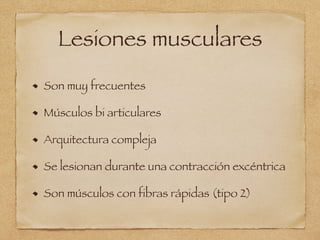 Lesiones musculares
Son muy frecuentes
Músculos bi articulares
Arquitectura compleja
Se lesionan durante una contracción excéntrica
Son músculos con fibras rápidas (tipo 2)
 