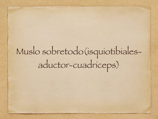 Muslo sobretodo(isquiotibiales-
aductor-cuadriceps)
 