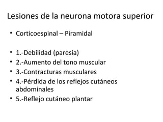 Lesiones de la neurona motora superior <ul><li>Corticoespinal – Piramidal </li></ul><ul><li>1.-Debilidad (paresia) </li></...