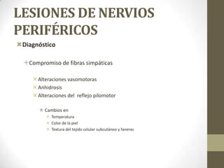LESIONES DE NERVIOS
PERIFÉRICOS
Diagnóstico

  Compromiso de fibras simpáticas

      Alteraciones vasomotoras
      Anhidrosis
      Alteraciones del reflejo pilomotor

        Cambios en
           Temperatura
           Color de la piel
           Textura del tejido celular subcutáneo y faneras
 