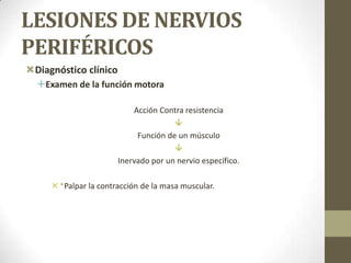 LESIONES DE NERVIOS
PERIFÉRICOS
Diagnóstico clínico
  Examen de la función motora

                           Acción Contra resistencia
                                      
                            Función de un músculo
                                      
                       Inervado por un nervio específico.

      *Palpar la contracción de la masa muscular.
 