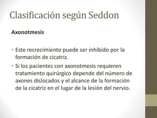 Clasificación según Seddon
Axonotmesis

• Este recrecimiento puede ser inhibido por la
  formación de cicatriz.
• Si los pacientes con axonotmesis requieren
  tratamiento quirúrgico depende del número de
  axones dislocados y el alcance de la formación
  de la cicatriz en el lugar de la lesión del nervio.
 