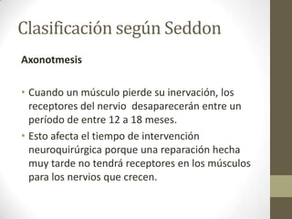 Clasificación según Seddon
Axonotmesis

• Cuando un músculo pierde su inervación, los
  receptores del nervio desaparecerán entre un
  período de entre 12 a 18 meses.
• Esto afecta el tiempo de intervención
  neuroquirúrgica porque una reparación hecha
  muy tarde no tendrá receptores en los músculos
  para los nervios que crecen.
 