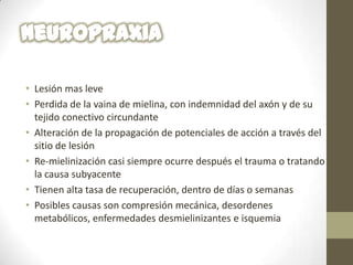 • Lesión mas leve
• Perdida de la vaina de mielina, con indemnidad del axón y de su
  tejido conectivo circundante
• Alteración de la propagación de potenciales de acción a través del
  sitio de lesión
• Re-mielinización casi siempre ocurre después el trauma o tratando
  la causa subyacente
• Tienen alta tasa de recuperación, dentro de días o semanas
• Posibles causas son compresión mecánica, desordenes
  metabólicos, enfermedades desmielinizantes e isquemia
 