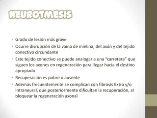 • Grado de lesión más grave
• Ocurre disrupción de la vaina de mielina, del axón y del tejido
  conectivo circundante
• Este tejido conectivo se puede analogar a una “carretera” que
  siguen los axones en regeneración para llegar hacia el destino
  apropiado
• Recuperación es pobre o ausente
• Además frecuentemente se complican con fibrosis Extra y/o
  Intraneural, que posteriormente dificultan la recuperación, al
  bloquear la regeneración axonal
 