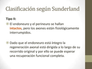 Clasificación según Sunderland
Tipo II:
 El endoneuro y el perineuro se hallan
   intactos, pero los axones están fisiológicamente
   interrumpidos.

 Dado que el endoneuro está íntegro la
  regeneración axonal está dirigida a lo largo de su
  recorrido original y por ello se puede esperar
  una recuperación funcional completa.
 