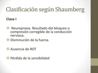 Clasificación según Shaumberg
Clase I

 Neuropraxia. Resultado del bloqueo o
  compresión corregible de la conducción
  nerviosa.
 Disminución de la fuerza.

 Ausencia de ROT

 Pérdida de la sensibilidad
 