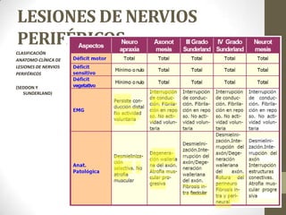 LESIONES DE NERVIOS
PERIFÉRICOS
CLASIFICACIÓN
ANATOMO-CLÍNICA DE
LESIONES DE NERVIOS
PERIFÉRICOS

(SEDDON Y
   SUNDERLAND)
 