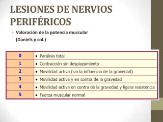 LESIONES DE NERVIOS
PERIFÉRICOS
• Valoración de la potencia muscular
  (Daniels y col.)
 