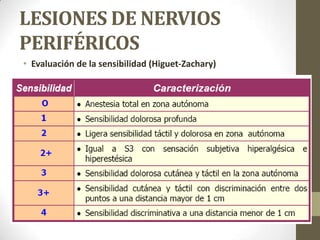 LESIONES DE NERVIOS
PERIFÉRICOS
• Evaluación de la sensibilidad (Higuet-Zachary)
 