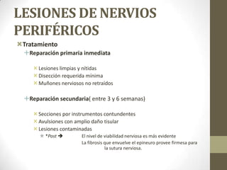 LESIONES DE NERVIOS
PERIFÉRICOS
Tratamiento
  Reparación primaria inmediata

      Lesiones limpias y nítidas
      Disección requerida mínima
      Muñones nerviosos no retraídos

  Reparación secundaria( entre 3 y 6 semanas)

      Secciones por instrumentos contundentes
      Avulsiones con amplio daño tisular
      Lesiones contaminadas
        *Post         El nivel de viabilidad nerviosa es más evidente
                        La fibrosis que envuelve el epineuro provee firmesa para
                                    la sutura nerviosa.
 
