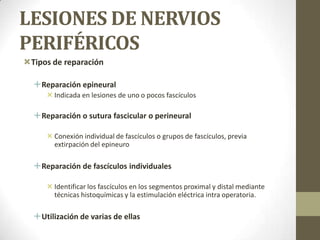 LESIONES DE NERVIOS
PERIFÉRICOS
Tipos de reparación

  Reparación epineural
      Indicada en lesiones de uno o pocos fascículos

  Reparación o sutura fascicular o perineural

      Conexión individual de fascículos o grupos de fascículos, previa
       extirpación del epineuro

  Reparación de fascículos individuales

      Identificar los fascículos en los segmentos proximal y distal mediante
       técnicas histoquímicas y la estimulación eléctrica intra operatoria.

  Utilización de varias de ellas
 