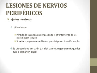 LESIONES DE NERVIOS
PERIFÉRICOS
Injertos nerviosos

  Utilización en

      Pérdida de sustancia que imposibilita el afrontamiento de los
       extremos sin tensión
      Si existe componente de fibrosis que obliga a extirpación amplia


  Se proporciona armazón para los axones regenerantes que los
   guíe a el muñón distal
 