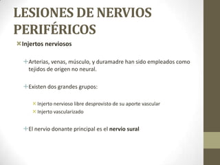 LESIONES DE NERVIOS
PERIFÉRICOS
Injertos nerviosos

  Arterias, venas, músculo, y duramadre han sido empleados como
   tejidos de origen no neural.

  Existen dos grandes grupos:

      Injerto nervioso libre desprovisto de su aporte vascular
      Injerto vascularizado


  El nervio donante principal es el nervio sural
 