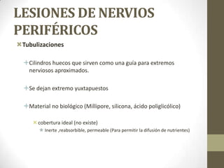 LESIONES DE NERVIOS
PERIFÉRICOS
Tubulizaciones

  Cilindros huecos que sirven como una guía para extremos
   nerviosos aproximados.

  Se dejan extremo yuxtapuestos

  Material no biológico (Millipore, silicona, ácido poliglicólico)

      cobertura ideal (no existe)
         Inerte ,reabsorbible, permeable (Para permitir la difusión de nutrientes)
 