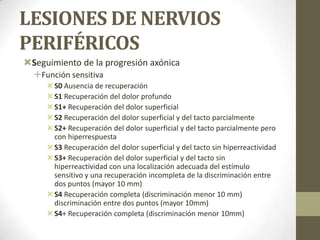 LESIONES DE NERVIOS
PERIFÉRICOS
Seguimiento de la progresión axónica
  Función sensitiva
      S0 Ausencia de recuperación
      S1 Recuperación del dolor profundo
      S1+ Recuperación del dolor superficial
      S2 Recuperación del dolor superficial y del tacto parcialmente
      S2+ Recuperación del dolor superficial y del tacto parcialmente pero
       con hiperrespuesta
      S3 Recuperación del dolor superficial y del tacto sin hiperreactividad
      S3+ Recuperación del dolor superficial y del tacto sin
       hiperreactividad con una localización adecuada del estímulo
       sensitivo y una recuperación incompleta de la discriminación entre
       dos puntos (mayor 10 mm)
      S4 Recuperación completa (discriminación menor 10 mm)
       discriminación entre dos puntos (mayor 10mm)
      S4+ Recuperación completa (discriminación menor 10mm)
 