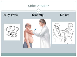 Subescapular
Belly-Press Bear hug Lift off
 