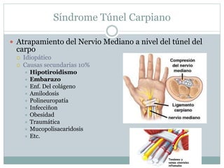 Síndrome Túnel Carpiano
 Atrapamiento del Nervio Mediano a nivel del túnel del
carpo
 Idiopático
 Causas secundarias 10%
 Hipotiroidismo
 Embarazo
 Enf. Del colágeno
 Amilodosis
 Polineuropatía
 Infecciñon
 Obesidad
 Traumática
 Mucopolisacaridosis
 Etc.
 