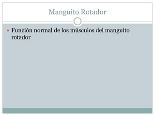 Manguito Rotador
 Función normal de los músculos del manguito
rotador
 
