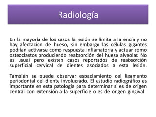 Radiología
En la mayoría de los casos la lesión se limita a la encía y no
hay afectación de hueso, sin embargo las células gigantes
podrían activarse como respuesta inflamatoria y actuar como
osteoclastos produciendo reabsorción del hueso alveolar. No
es usual pero existen casos reportados de reabsorción
superficial cervical de dientes asociados a esta lesión.
También se puede observar espaciamiento del ligamento
periodontal del diente involucrado. El estudio radiográfico es
importante en esta patología para determinar si es de origen
central con extensión a la superficie o es de origen gingival.

 