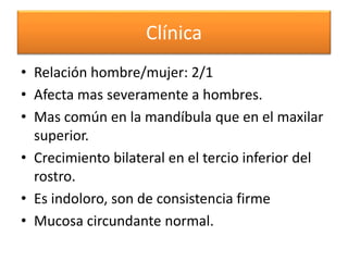 Clínica
• Relación hombre/mujer: 2/1
• Afecta mas severamente a hombres.
• Mas común en la mandíbula que en el maxilar
superior.
• Crecimiento bilateral en el tercio inferior del
rostro.
• Es indoloro, son de consistencia firme
• Mucosa circundante normal.

 