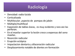 Radiología
•
•
•
•
•
•
•
•
•
•

Densidad: radio lúcida
Corticalizada
Multilocular ,aspecto de pompas de jabón
Múltiple/multifocal
Expansión de tablas óseas, es muy evidente y rara vez las
perforan.
En el maxilar superior la lesión crece a expensas del seno
maxilar..
Resorción radicular
Erupción ectópica
Impactacion dentaria y dilaceración radicular
Desplazamiento notable de dientes en formación

 