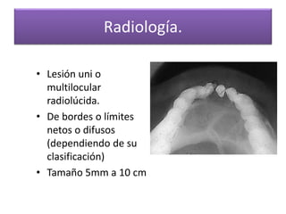 Radiología.
• Lesión uni o
multilocular
radiolúcida.
• De bordes o límites
netos o difusos
(dependiendo de su
clasificación)
• Tamaño 5mm a 10 cm

 