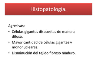 Histopatología.
Agresivas:
• Células gigantes dispuestas de manera
difusa.
• Mayor cantidad de células gigantes y
mononucleares.
• Disminución del tejido fibroso maduro.

 