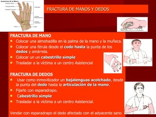 FRACTURA DE MANOS Y DEDOS FRACTURA DE MANO Colocar una almohadilla en la palma de la mano y la muñeca.  Colocar una férula desde el  codo hasta  la punta de los  dedos  y amárrela.  Colocar un un  cabestrillo simple Trasladar a la víctima a un centro Asistencial FRACTURA DE DEDOS Usar como inmovilizador un  bajalenguas acolchado , desde la punta del  dedo  hasta la  articulación de la mano .  Fijarlo con esparadrapo.  C abestrillo simple Trasladar a la víctima a un centro Asistencial.  Vendar con esparadrapo el dedo afectado con el adyacente sano 