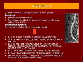 LESIÓN MEDULAR La lesión medular puede presentar diferentes grados: Completa : Sección total de la medula Se produce pérdida de la función sensorial y motora por debajo de la lesión. Incompleta o parcial Se produce perdida motora y sensorial parcial C4 A C5 O POR ENCIMA: CUADRUPLEJIA COMPLETA C5 Y C6 AFECTA A BRAZOS PERO PERMITEN ABDUCIÓN Y FLEXIÓN C6 Y C7 PERMITE MOVIMIENTOS DE LOS HOMBROS Y FLEXIÓN DE LOS CODOS, PERO PARALIZA: LAS PIERNAS, LAS MUÑECAS Y LAS MANOS. D11 Y D12 AFECTA A LOS MÚSCULOS DE LAS PIERNAS D12 A L1 CAUSAN PARÁLISIS POR DEBAJO DE LA RODILLA. LESIÓN EN EL SACRO  Y DESDE L1 CAUSAN UNA PÉRDIDA DEL CONTROL DE LOS ESFÍNTERES 