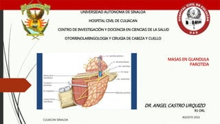 MASAS EN GLANDULA
PAROTIDA
UNIVERSIDAD AUTONOMA DE SINALOA
HOSPITAL CIVIL DE CULIACAN
CENTRO DE INVESTIGACIÓN Y DOCENCIA EN CIENCIAS DE LA SALUD
OTORRINOLARINGOLOGIA Y CIRUGIA DE CABEZA Y CUELLO
DR. ANGEL CASTRO URQUIZO
R1 ORL
CULIACAN SINALOA
AGOSTO 2016
 