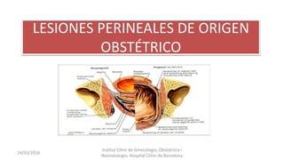 14/03/2016
Institut Clínic de Ginecologia, Obstetrícia i
Neonatologia, Hospital Clínic de Barcelona
LESIONES PERINEALES DE ORIGEN
OBSTÉTRICO
 