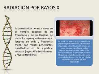 RADIACION POR RAYOS X
La penetración de estos rayos en
el hombre depende de su
frecuencia y de su longitud de
onda; los rayos que tienen mayor
longitud de onda y frecuencia
menor son menos
quedándose en la
penetrantes
superficie
corporal {rayos Alfa-Beta Gamma
y rayos ultravioleta).
La situación inversa produce rayos que
penetran profundamente, atravesando
algunos de ellos el cuerpo humano sin
tener tiempo para fijarse en los
tejidos. Pero tanto unos como otros
son causantes de la formación de iones
libres intra celularEs que traerán como
resultado la destrucción de las células
dentro de las cuales se han
organizado
 
